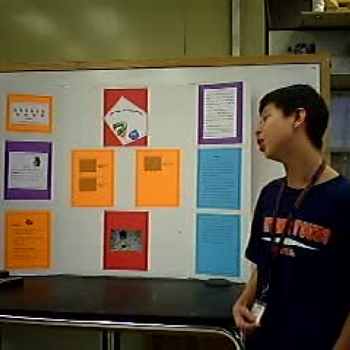 CT Science Fair Presentation Solomon 7th grad