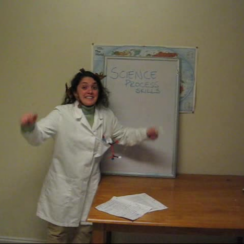 Photosynthesizing Foliage