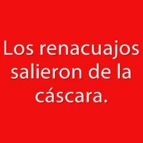 Validacion Movie Maker- Ciclo de vida del sap