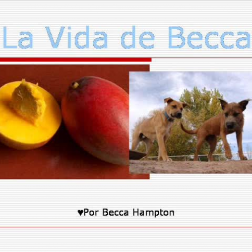 Mi Vida Por Becca 