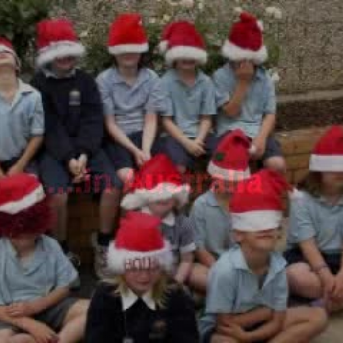 An Australian Christmas through eyes of a chi