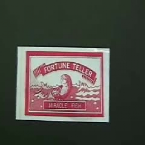 Scientific Method - Fortune Telling Fish