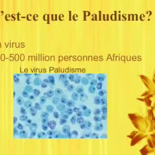 Le Paludisme 2