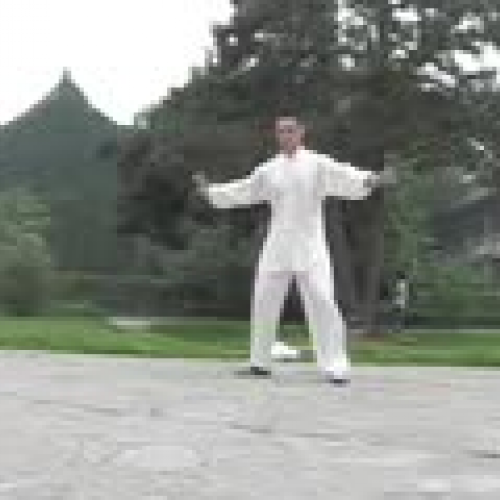 Roger Wu Shu Video 1