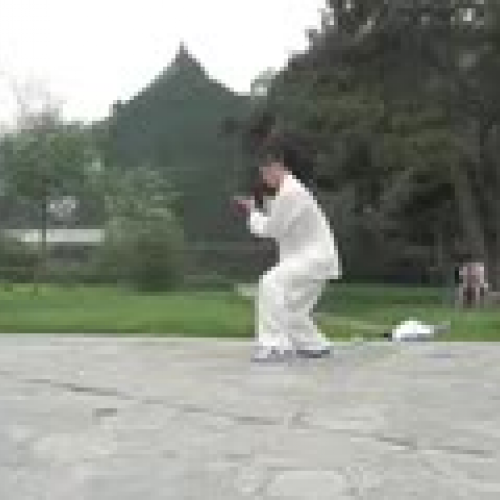 Robert Wu Shu Video 2