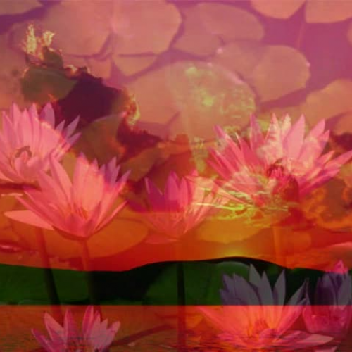 Exemplo com o photo story