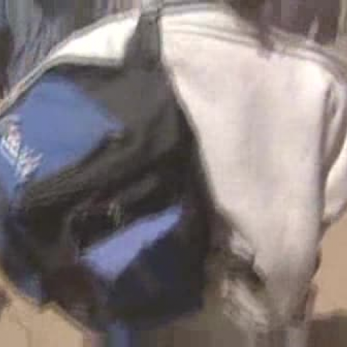 CNN News - Day 12 - January 5