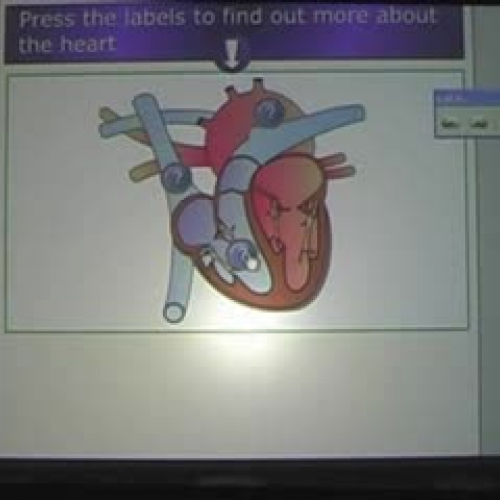 Smart Notebook Software: Lesson Activity Tool