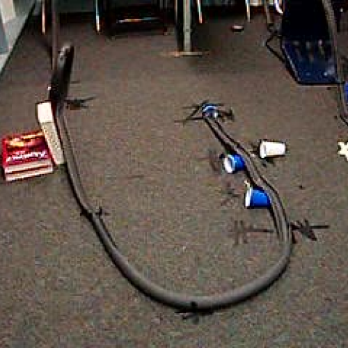 Small Fry_roller coaster_view 1