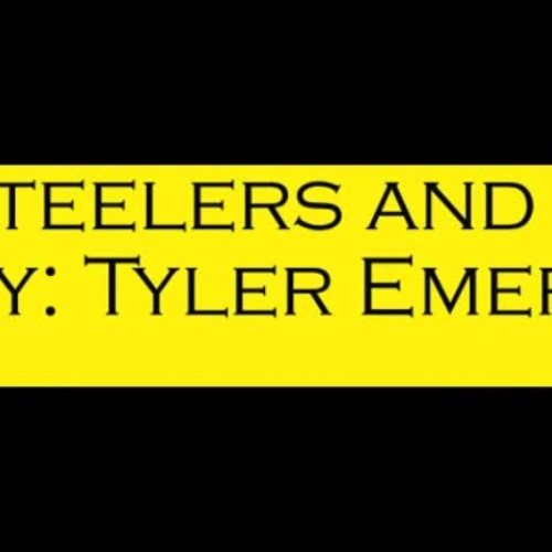 Steelers and Nascar by Tyler