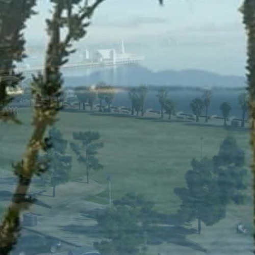 Summer School Geelong