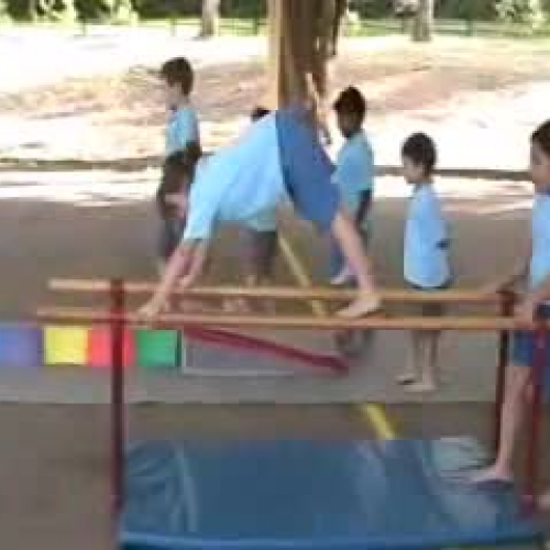 2Ms Gymnastics