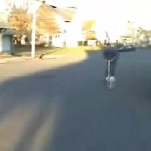 Terrier Scooter Trials