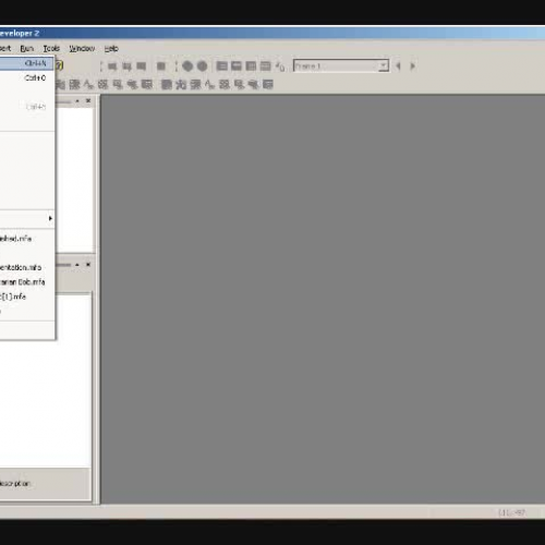 Build a game -- Animal Facts Presentation