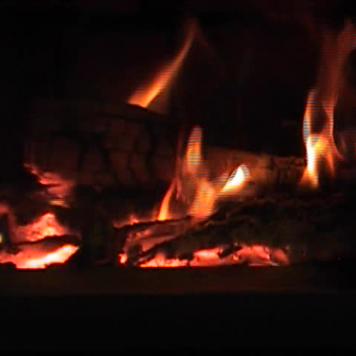 Wagner Woodfire