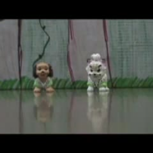 Creekside Middle School Dancing Dogs