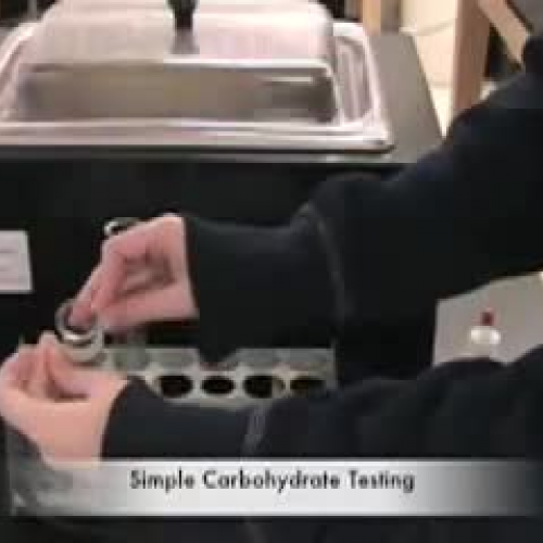 Simple Carbohydrate Testing