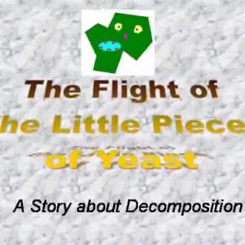 Flight of the Little Piece of Yeast (update)
