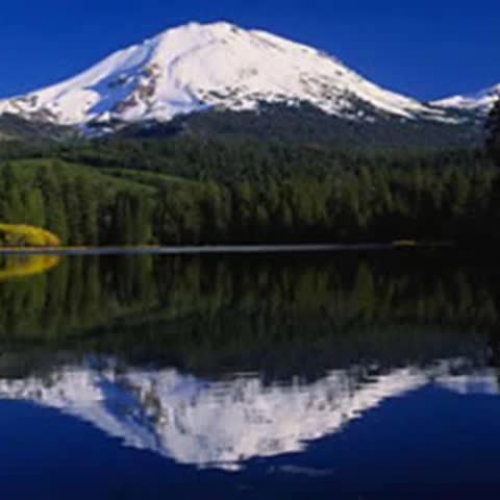 Applying Trigonometric Functions