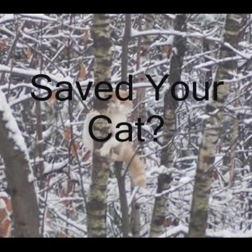 valuable insight trailor