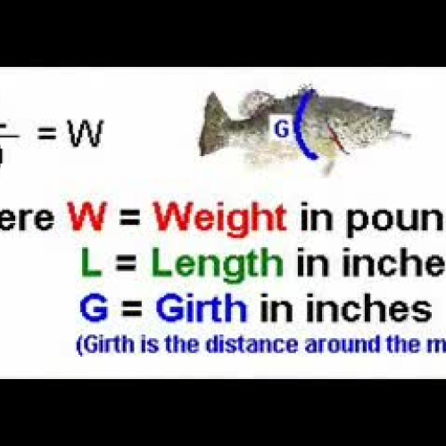Fish Weight Formula