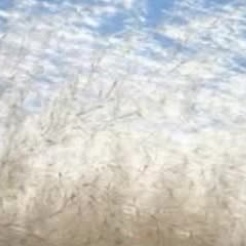 The Road Not Taken student analysis