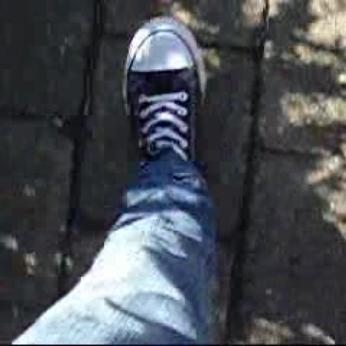 The Show of Randomness