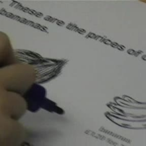 Coconuts Bananas and Oranges