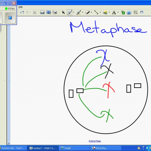 Notebook Capture of a Lesson