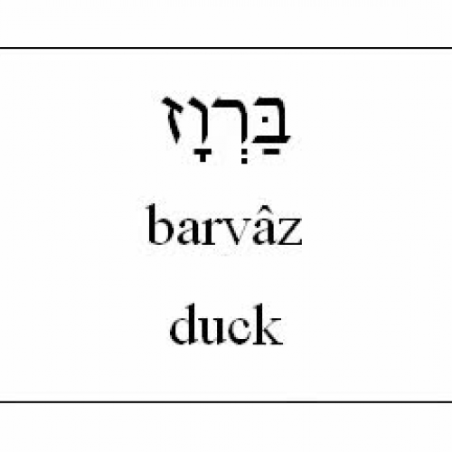Learn Hebrew - Animal Vocabulary (English ver