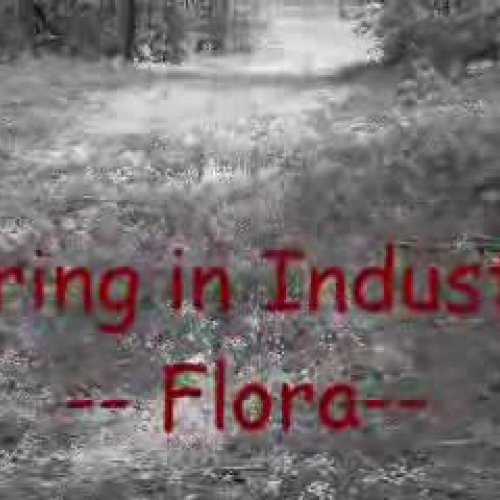 Flora of Maine