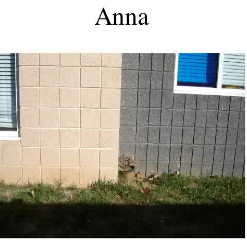 Rocks and their uses