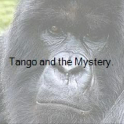 Tango and the Mystery