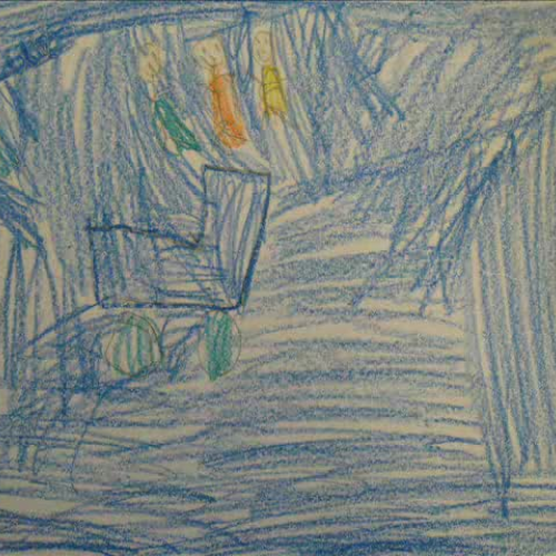 Watch Out for the Bird!