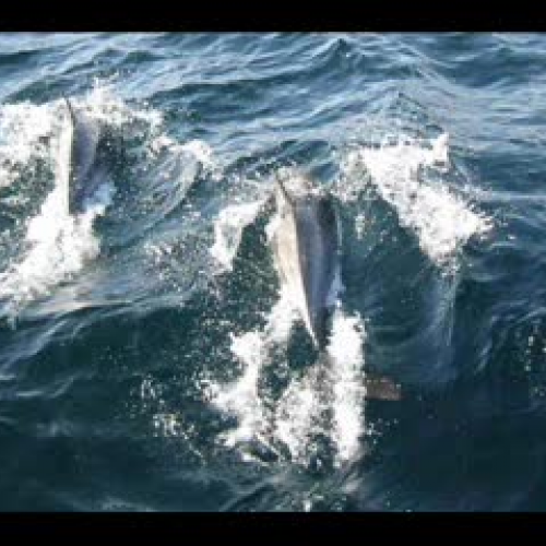 Stages of Grief Digital Story