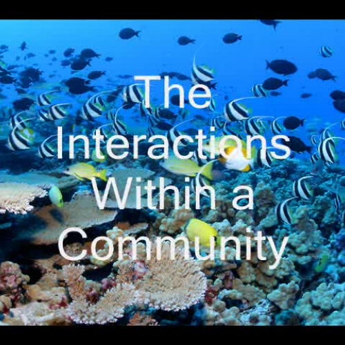 The Interactions within a Community