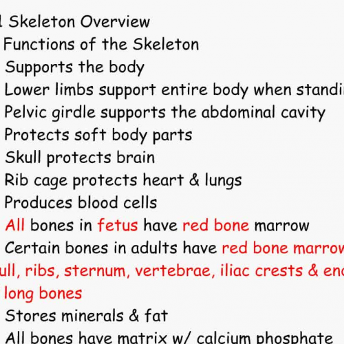 Skeletal lecture 1