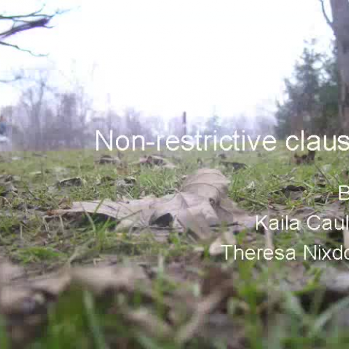 Nonrestrictive Clause 1