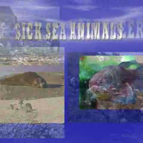 Celebrating our reef