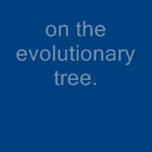 1a. Fungal disease and the dangers to their c