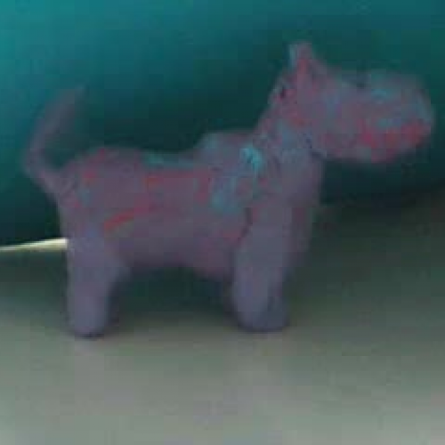 Dog Frog and Cat by Matt