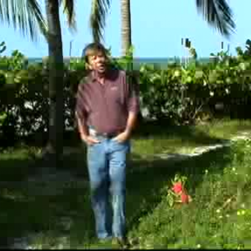 Last Flight Out part 2