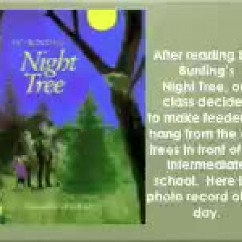 Our Night Tree