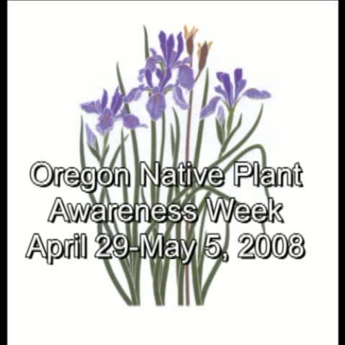 Native Plant Awareness Week - Bonnie Hall Art