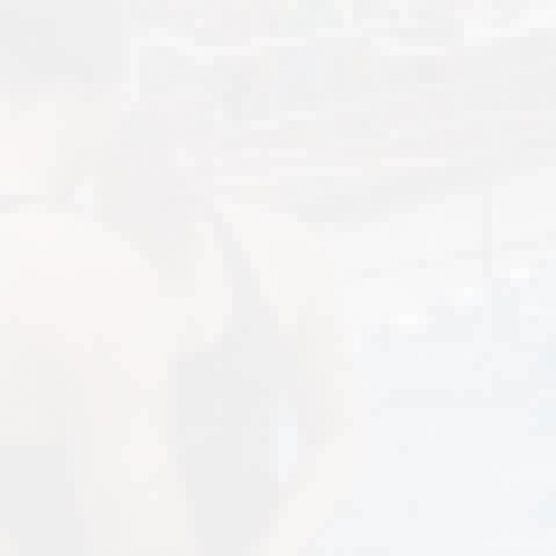 County Swim Championships