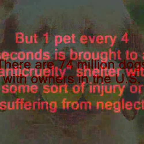 PSA Animal Abuse