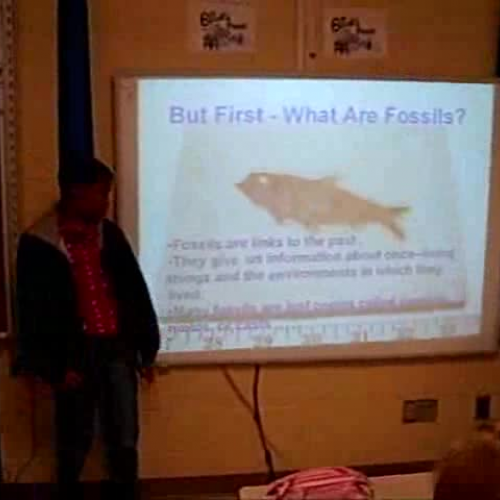 How To Make A Fossil