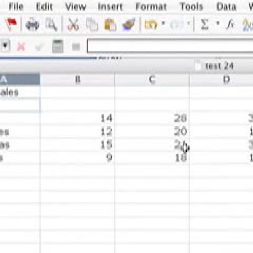 Microsoft Excel Formatting Cells