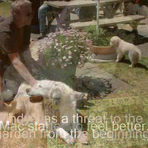 Indy and her  First Day