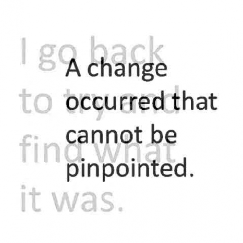 Something happens on a wilderness trail